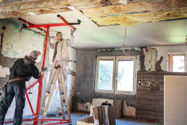 Best Types of Insulation in Ames Lake, WA