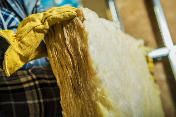 Best Commercial Insulation in Ames Lake, WA