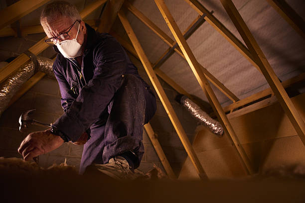 Best Insulation for Specific Applications in Ames Lake, WA