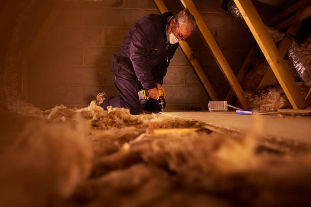 Best Insulation Maintenance and Repair in Ames Lake, WA